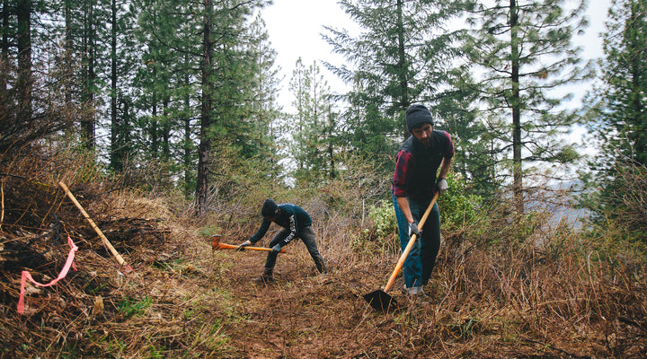 Sierra Buttes Trail Stewardship